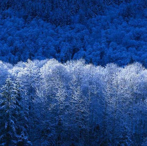 Meet your Posher, Jack